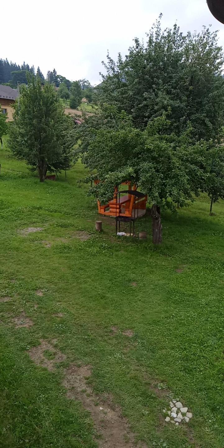 מיקוליצ'ין Смерека מראה חיצוני תמונה